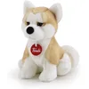Image de Trudi - Akita Ascanio
