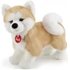 Image de Trudi - Akita Ascanio