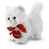Image de Peluche - Trudi Collectable - Trudini Classic : Chat persan
