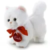 Image de Trudi - Trudino Chat Persan