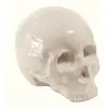Image de Décoration Seletti My Skull Memorabilia