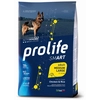 Image de 12kg Chicken & Rice Smart Adult Medium/ Large Breed Prolife Dry Dogs (chiens secs au poulet et au riz)