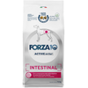 Image de Forza 10 Active Line Intestinal Active pour chien - 10 kg