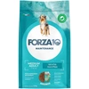 Image de Forza10 Maintenance Medium, poisson pour chien - 12 kg