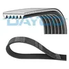 Image de Dayco Courroie D'accessoire 6pk1130