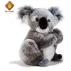 Image de Koline - Peluche De Koala - 22 Cm