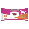 Image de Inodorina Lingettes bio pour chiots à l'euphraise et au miel 40pcs