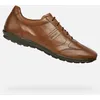 Image de Geox Baskets Geox Symbol Homme Marron - 40