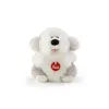 Image de Trudi - Fluffy Chien