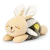 Image de Chicco Classic Peluche Chauffante Lapin