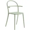 Image de Kartell Set De 2 Chaises Generic C (Vert Sauge - Polypropylène)