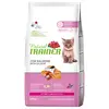 Image de Natural Trainer Kitten saumon 1,5 kg nourriture sèche pour chat