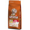 Image de 12kg Medium/Maxi Senior poulet Ultima pour chien âgé