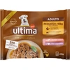 Image de Ultima Fit & Delicious Mini Adult 44 x 100 g pour chien