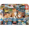 Image de Puzzle Educa - Chatons voyageurs, 200 pièces