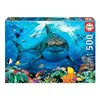 Image de 500 GRAND REQUIN BLANC