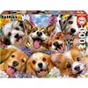 Image de EDUCA-1000 CHIOTS SELFIE, HOWARD ROBINSON