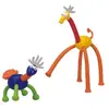 Image de ANIMATCH