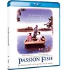 Image de Passion Fish