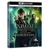 Image de Les Animaux fantastiques 1 - 3 (Blu Ray 4 K Ultra HD) / Fantastic Beasts and Where to Find Them