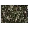 Image de Treillis Osier Extensible A Feuilles 1x2m