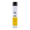 Image de Revlon Proyou The Setter Hairspray Strong 750ml