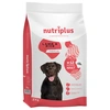 Image de 3kg Adult agneau Nutriplus Croquettes pour chien à prix spécial !
