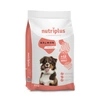 Image de 3kg Adult saumon Nutriplus Croquettes pour chien à prix spécial !