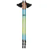 Image de COLUMBUS A08380 Bâton Mixte Adulte, Vert/Bleu, Unique