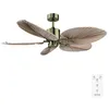 Image de Cecotec 08541 ventilateur Or