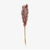 Image de Sklum Pack de 5 branches sèches décoratives Dagrai Rose Mauve Pâle
