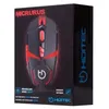 Image de HIDITEC MICRURUS - souris - USB