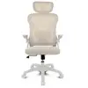 Image de Silla ergonómica Drift DRAIR35 Beige Respaldo Malla Reclinable Reposabrazos Abatible 120 kg