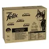 Image de 80x85g Mégapack Felix Tendres Effilés sélection de la campagne - Pâtée pour chat