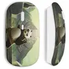 Image de Souris sans fil kung fu panda 1 Maniacase