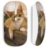Image de Souris Sans Fil Chat minion Maniacase