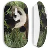 Image de Souris sans fil Panda Cute Maniacase
