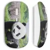 Image de Souris sans fil Panda Maniacase