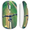 Image de Souris sans Fil VTT on road Maniacase