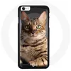 Image de Coque pour Iphone SE 2020 Chat chaton Bengal Maniacase