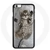 Image de Coque pour Iphone 7 Chat chaton Bengal gris Maniacase