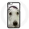 Image de Coque pour Iphone 7 Plus Chien Greyhound Maniacase