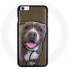 Image de Coque pour Iphone 6 Plus Chien PitBull Maniacase