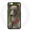 Image de Coque pour Iphone 8 Plus Chien Greyhound gris Maniacase