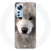 Image de Coque pour Xiaomi Mi 12 / 12X Samoyède Gris Race de chiens Maniacase