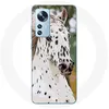 Image de Coque pour Xiaomi Mi 12 / 12X Appaloosa Cheval blanc Maniacase