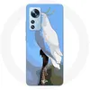Image de Coque pour Xiaomi Mi 12 / 12X Cacatoès Perroquets blanc Oiseaux Maniacase