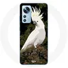 Image de Coque pour Xiaomi Mi 12 / 12X Cacatoes Perroquets Blanc sur l'arbre Maniacase