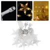 Image de Guirlande lumineuse 4m LED étanche forme d'étoile lumière blanche chaude