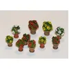 Image de Blumen In Blumentöpfen - 1:35e - Plus Model